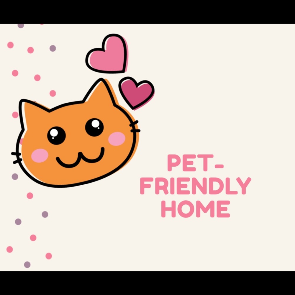 To those with severe allergies: pet-friendly home